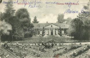 Nyékpettend (Kápolnásnyék-Pettend); Sárközi kastély (fa)