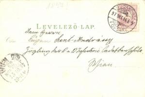 1897 (Vorläufer!) Budapest, Szent Lukács fürdő, Redoute, Artézi kút, Kunstanstalt Rosenblatt, Art No...