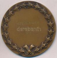 Iván István (1905-1968) 1970. "Városligeti Vajdahunyadvár" Br emlékérem, hátoldalon gravír...