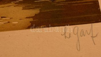 Le Graf jelzéssel: Chateau Azay le Rideau. Színezett rézkarc. Jelzett.  / Colored etching 29x23 cm