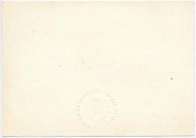 1916. "Károly-csapatkereszt" cink kitüntetés modern mellszalaggal + 1940. "Károly-csa...