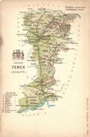 Temes vármegye térképe, Károlyi Gy. kiadása / Map of Temes County (EM)