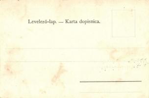 Verőce vármegye térképe / Zupanija Viroviticka / Map of Verőce County (fl)