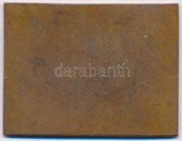 1950. "Tihany Csillagtúra Edosz S.E. 1950" Br emlékplakett. Szign.: Fonyó (65x50mm) T:2