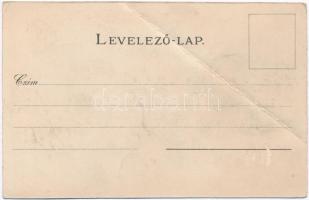 Nagyvárad, Oradea; Bihar vármegye címere; Athenaeum Rt. kőnyomdája / coat of arms, floral, litho (fa...