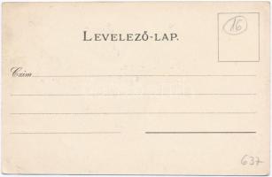 Miskolc, Borsod vármegye címere; Athenaeum Rt. kőnyomdája, floral, litho