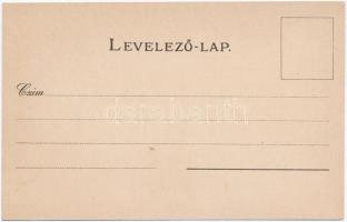 Pozsony, Pressburg, Bratislava; Pozsony vármegye címer, zászló, Athenaeum Rt. kőnyomda / county coat...