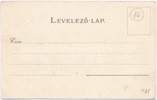 Nyíregyháza, Szabolcs vármegye címere; Athenaeum Rt. kőnyomdája, floral, litho (EK)