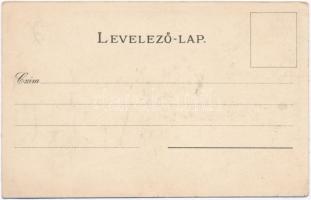 Temesvár, Timisoara; Temes vármegye címere; Athenaeum Rt. kőnyomdája / coat of arms, floral, litho