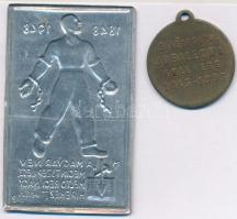 Gerl Károly (1857-1907) 1893. "Jókai Mór - 50 éves írói jubileuma emlékére" Cu emlékmedál ...