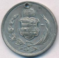 1860. "Széchenyi István - 1860. április 8-án" ón halotti emlékérem (33mm) T:2,2- lyuk, ph