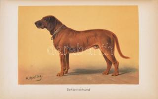 Diezels Niederjagd. Siebente ungearbeitete Auflage. Herausgegeben von Gustav Freiherr von Nordenflyc...