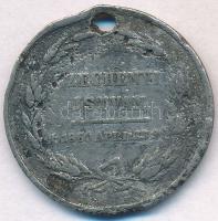 1860. "Széchenyi István - 1860 április" ón halotti emlékérem (29mm) T:3- lyuk, oxidáció