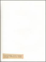 Nagybörzsöny, Szent István templom, feliratozott fotó, 23x17 cm