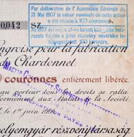 Budapest 1904. "Magyar Chardonnet selyemgyár részvénytársaság" magyar-francia kétnyelvű ré...