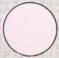 Budapest 1889. "Varasd-Golubveczi Helyi Érdekű Vasút Részvénytársaság" részvénye 200Ft-ról...