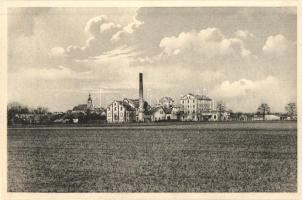 Somorja, Samorin; Látkép, gyár, kiadja Kranzinger N. / general view, fatory