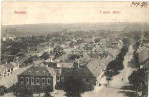 Somorja, Samorin; látkép / panorama (ázott / wet damage)