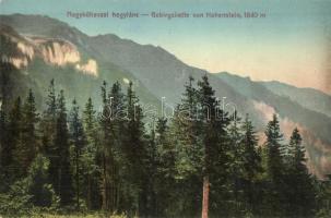 Nagykőhavas, Hohenstein, Piatra Mare; Hegylánc / Gebirgskette