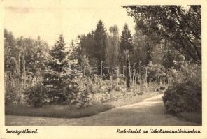 Szentgotthárd, Park, Iskolaszanatórium