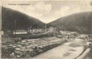 Jósikatelep, Jósikafalva, Béles, Belis; fatelep, Dunky fivérek / lumber yard