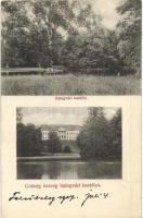 1917 Felsőbalog, Vysny Blh (Vámosbalog, Velky Blh); Coburg herceg balogvári kastély / castle, park