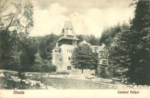 Sinaia, Castelul Pelisor / castle (EK)