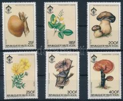 Gomba; virág sor, Mushroom; flower set