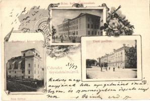 Gyulafehérvár, Alba Iulia; Batthyányi könyvtár, római katolikus gimnázium, tiszti pavillon; Papp György kiadása / library, catholic school, officers pavilion, art nouveau (vágott / cut)