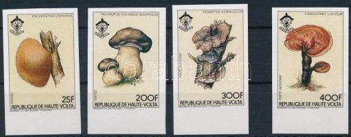 Mushroom margin imperf 4 stamps, Gomba ívszéli vágott sor 4 értéke
