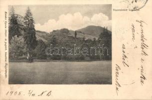 1905 Nagybánya, Baia Mare; liget, Kovács Gyula kiadása / park