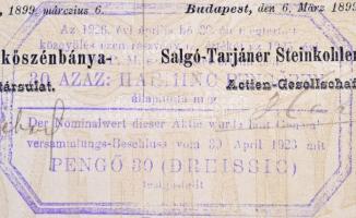 Budapest 1899. "Salgó-Tarjáni Kőszénbánya Részvénytársulat" részvénye 100Ft-ról, magyar-né...
