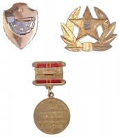 3db-os kis szovjet kitüntetés és jelvény tétel, közte 1969.  "Vladimir Iljics Lenin Születéséne...