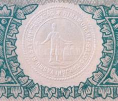 Budapest 1925. "Rimamurány-Salgó-Tarjáni Vasmű Részvény-Társaság" részvénye 50P-ről szelvé...