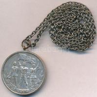 Románia ~1974. "30 éve szabadult fel Románia a fasizmus alól" ezüstözött Br emlékérem lánc...