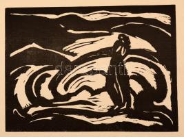 Mattis Teutsch János (1884-1960) - MA linóleum album. 1+12 db lap (Teljes!) 1917. 12 linóleummetszet...