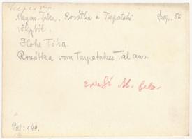 cca 1910-1915 Magas-Tátra, a Rovátka a Tarpataki-völgyből, Erdélyi Mór felvétele, hátulján feliratoz...