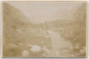 cca 1900 Magas-Tátra, az út Csorba előtt, keményhátú fotó, hátulján feliratozva, 10,5×16,5 cm