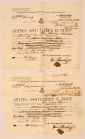 1866 A Trieszti Biztosítótársaság biztosítási kötvénye jó állapotban. / Insurance bond of the Triest Co