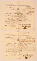 1866 A Trieszti Biztosítótársaság biztosítási kötvénye jó állapotban.  / Insurance bond of the Triest Co