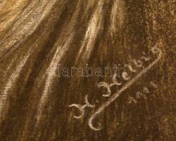 Henri Helbig (?-?): Oroszlán fej 1911. Vegyes technika, papír, jelzett, 30×25 cm