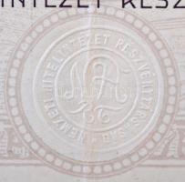 Budapest 1920. "Nemzeti Hitelintézet Részvénytársaság" részvénye 200K-ról, szelvényekkel é...