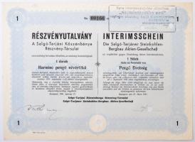 Budapest 1944. "A Salgó-Tarjáni Kőszénbánya Részvény-Társulat" részvénye 30P-ről, szárazpecséttel, bélyegzéssel, lyukasztással érvénytelenítve T:II