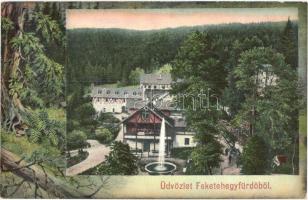 Feketehegyfürdő, Merény, Nálepkovo; erdős művészlap, kiadja Lomniczy V. / art postcard with forest (EK)