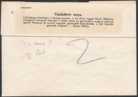 1914 A családírtó anya. Csillaghegy mellett a kisingi pusztán. Az Est sajtófotója. hozzátűzött felir...