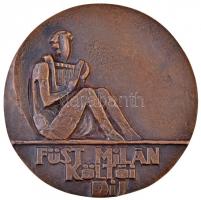 Czinder Antal (1937-) 1989. "Füst Milán / Füst Milán Költői Díj" Br plakett, eredeti díszt...
