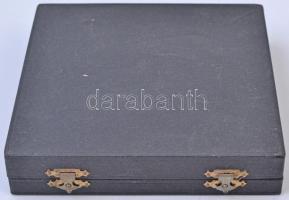 Czinder Antal (1937-) 1989. "Füst Milán / Füst Milán Költői Díj" Br plakett, eredeti díszt...