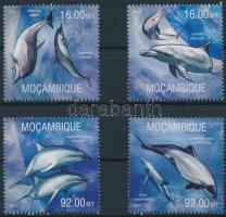 Dolphin set, Delfin sor