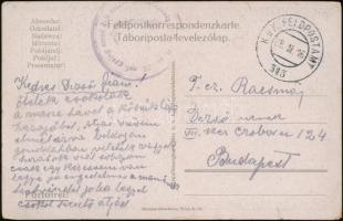 1916 Tábori posta képeslap / Field postcard &quot;M.kir. 29. npf. gyalog ezred 3-ik század parancsnokság&quot; + &quot;FP 313&quot;