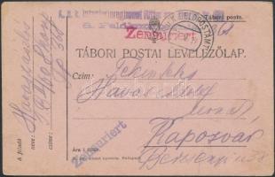 1917 Tábori posta levelezőlap / Field cover K.u.k. Infanterieregiment Ritter von... + FP 368